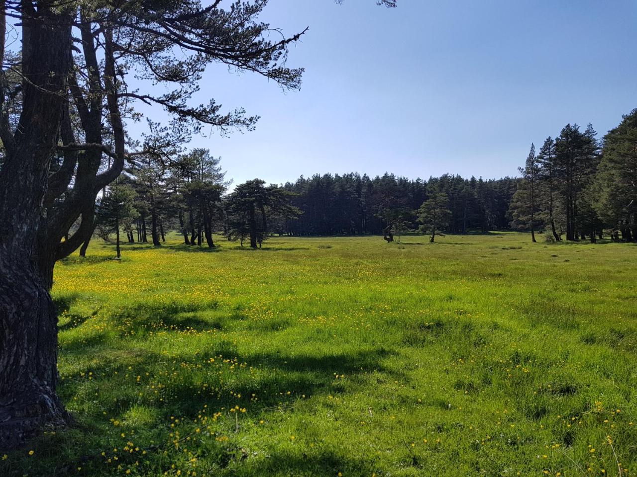 فندق Bolu Adya المظهر الخارجي الصورة