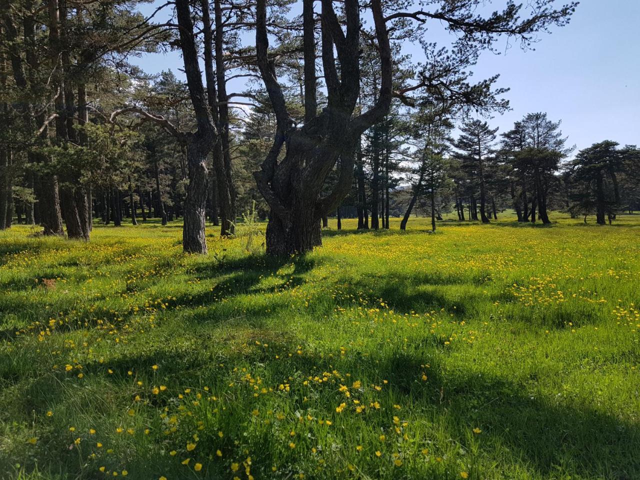فندق Bolu Adya المظهر الخارجي الصورة
